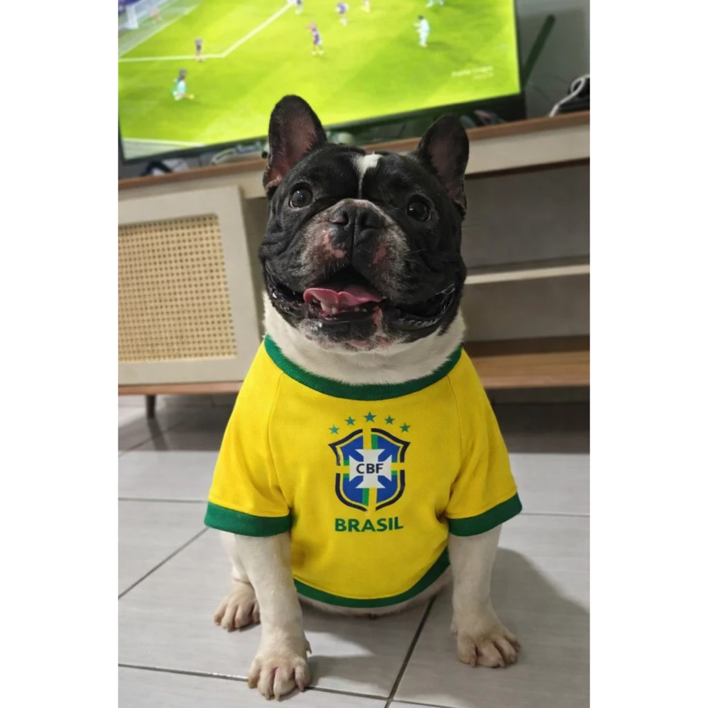 ROUPA PET Brasil COPA Cachorro Gato Seleção Animal - ENVIO IMEDIATO - Pet Shop - Comercial Anis Digital